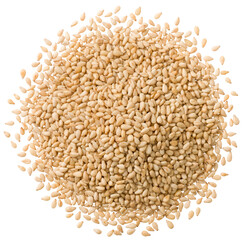 A small heap of roasted white sesame seeds isolated on white background, top view. - 610218051