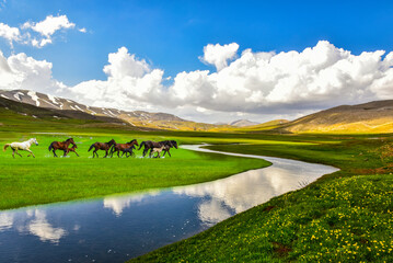 curvy meanders in the plateau, horses running freely and magical views of high mountains