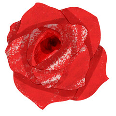 Rose bouquet flowers,hand drawn,creative with illustration in flat design.