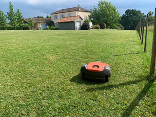 Lawn robot mows the lawn. Robotic Lawn Mower cutting grass in th