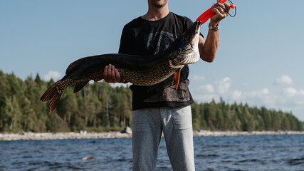 male fisherman holds a large pike fish caught in hands