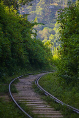 Fototapeta premium railway in the forest