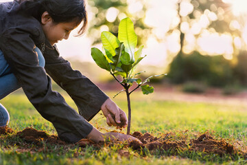 children planting tree in nature for save earth. environment eco concept