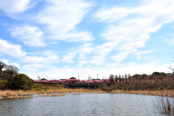 Obraz premium 三浦海岸小松ケ池のうえの白い雲