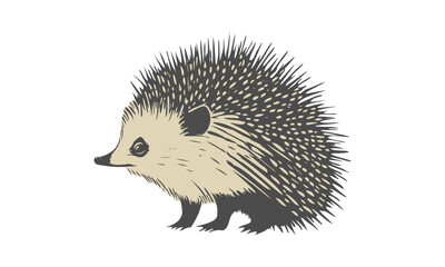 Vector engraving of Common, European or Central Russian hedgehog. Forest cute animal mammal with needles. White isolated background.
