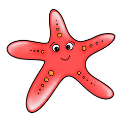 red sea starfish 