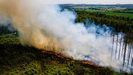 Waldbrand und Flammen bei Vegetationsbrand