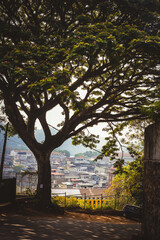 View of the city. Sri Lanka