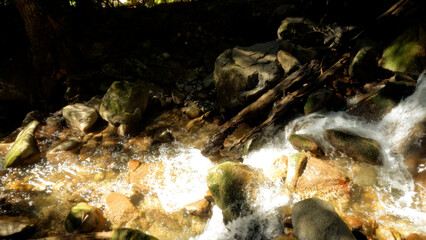 woods spring or stream at summertime, green leafage, big greenery and rocks - photo of nature