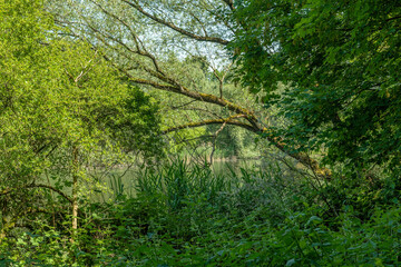 The Enkheimer Ried nature reserve in the east of the Frankfurt district of Bergen-Enkheim