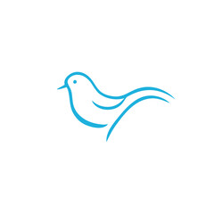Bird logo design vector illustration