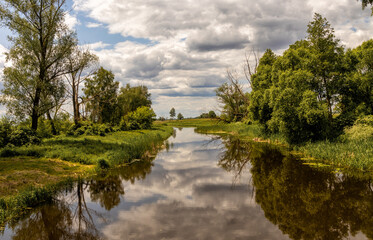 Fototapeta na wymiar Summer landscape with the river Oster and the sky with clouds