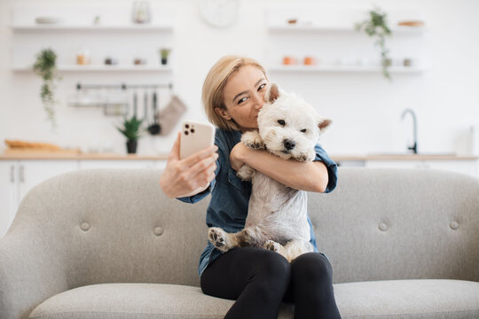 Beautiful female taking selfie with medium-sized terrier on smartphone while gaining benefits from home comfort. Excited pet owner saving happy moments with cute animal on sunny day using gadget.