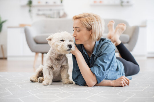 Caring adult female examining dog's coat while lying on room flooring near terrier in spacious house. Stylish young pet owner planning grooming day for her beloved canine companion.