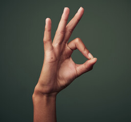 Person hand, OK gesture and emoji with agreement, approval and feedback isolated on green...