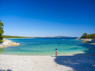 Fototapeta premium SIM-1231768