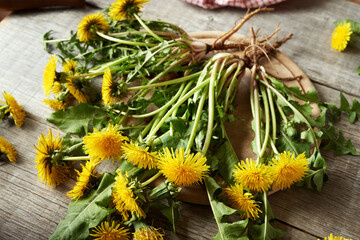 Whole dandelion plants with roots on wooden background © Madeleine Steinbach