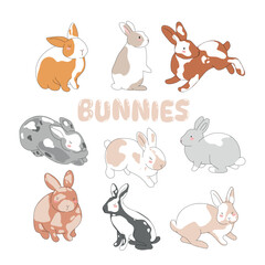 Cute Bunny and Carrot collection. Hand drawn vector illustration