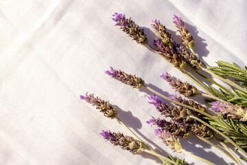 Lavender on a white sheets with contrasting shadows. Flat lay fashion trend. Top view sunny day