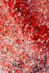 Fungal Parasitic Mold Spore Growth on the Plant. High Magnification Microscopic Photo for Science...