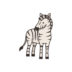 zebra vector illustration