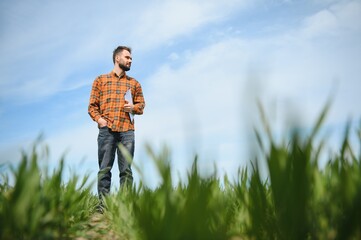 Naklejka na ściany i meble Portrait of farmer standing in field.