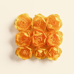 Spring seasonal styling, minimal style square pattern from delicate flowers peony orange color on beige background, nature flat lay spring season, natural blossoming bloom, top view composition