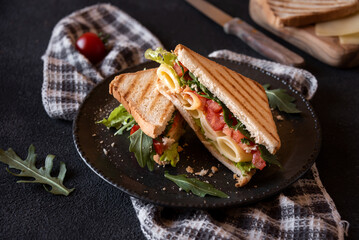 Toast sandwich with cheese, tomatoes and vegetables