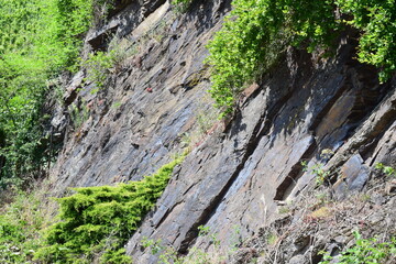 Slate Cliff