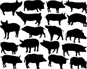 Set of Pigs SIlhouette, Wild Animal, Pet