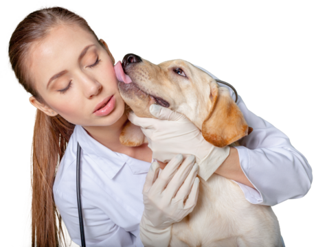Cute dog giving a kiss to the vet doctor after a checkup