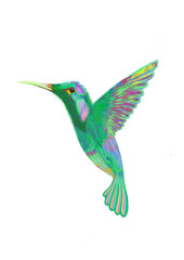 hummingbird in flight