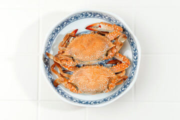 Flower Crab or Blue Crab or Blue Manna Sand Crab