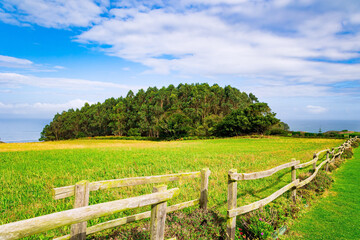 THe wooden fences.