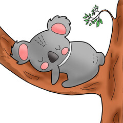 koala
