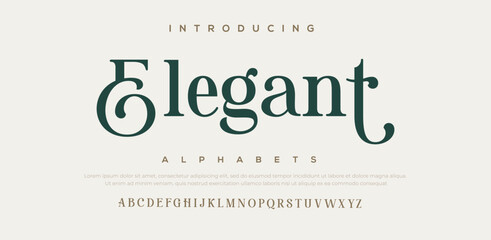 Elegant awesome alphabet letters font and number. unique serif font. Classic Lettering Minimal Fashion Designs. Typography fonts regular uppercase and lowercase. vector illustration - obrazy, fototapety, plakaty