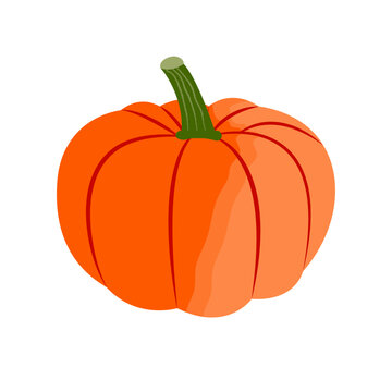 Icon autumn orange pumpkin with a green tail on a transparent and white background. Isolated element for design decoration. Close-up vector illustration. Graphic design.