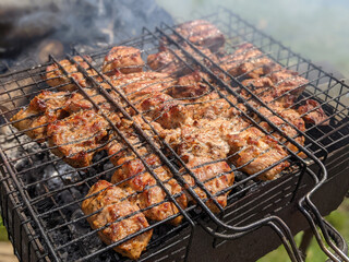 grilled meat on the grill