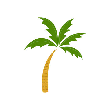 Graphic vector image of a palm tree. Palm