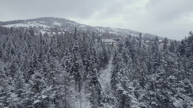 Drone aerial footage of the village in montain forests in snowy weather
