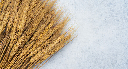 Wheat spike on the vintage  background