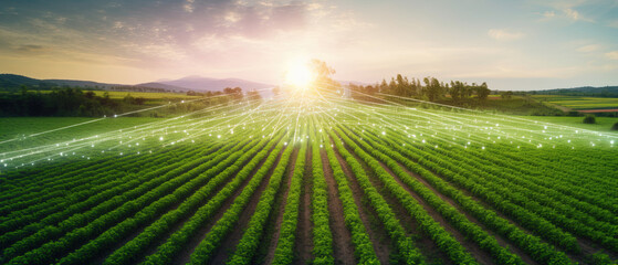 Fototapeta na wymiar Precision farming system uses artificial intelligence to optimize crop yields
