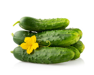 Fresh green cucumbers with yellow flower isolated on white background.