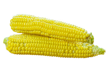 head of sweet corn isolated from background
