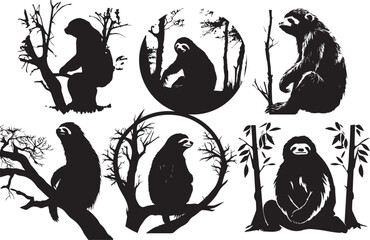 sloth animal images