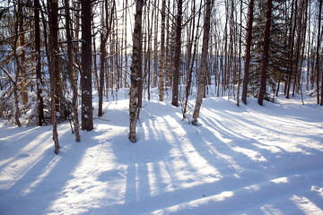 The snow has clear shadows