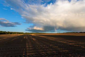 Fototapeta na wymiar Rainbow over the plowed agricultural field on a background of blue sky