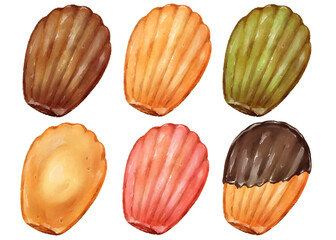 マドレーヌのセットイラスト