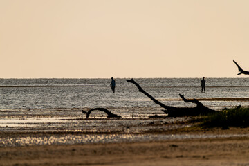 wading fisherman in Gulf of Mexico during sunset