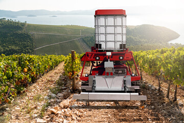 Autonomous robot sprayer works in a vineyard. Smart farming concept